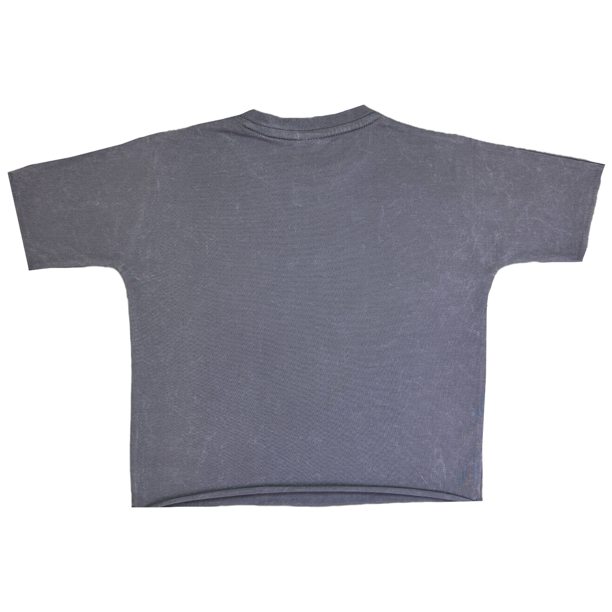 Capitalize Cropped T-Shirt - Gray