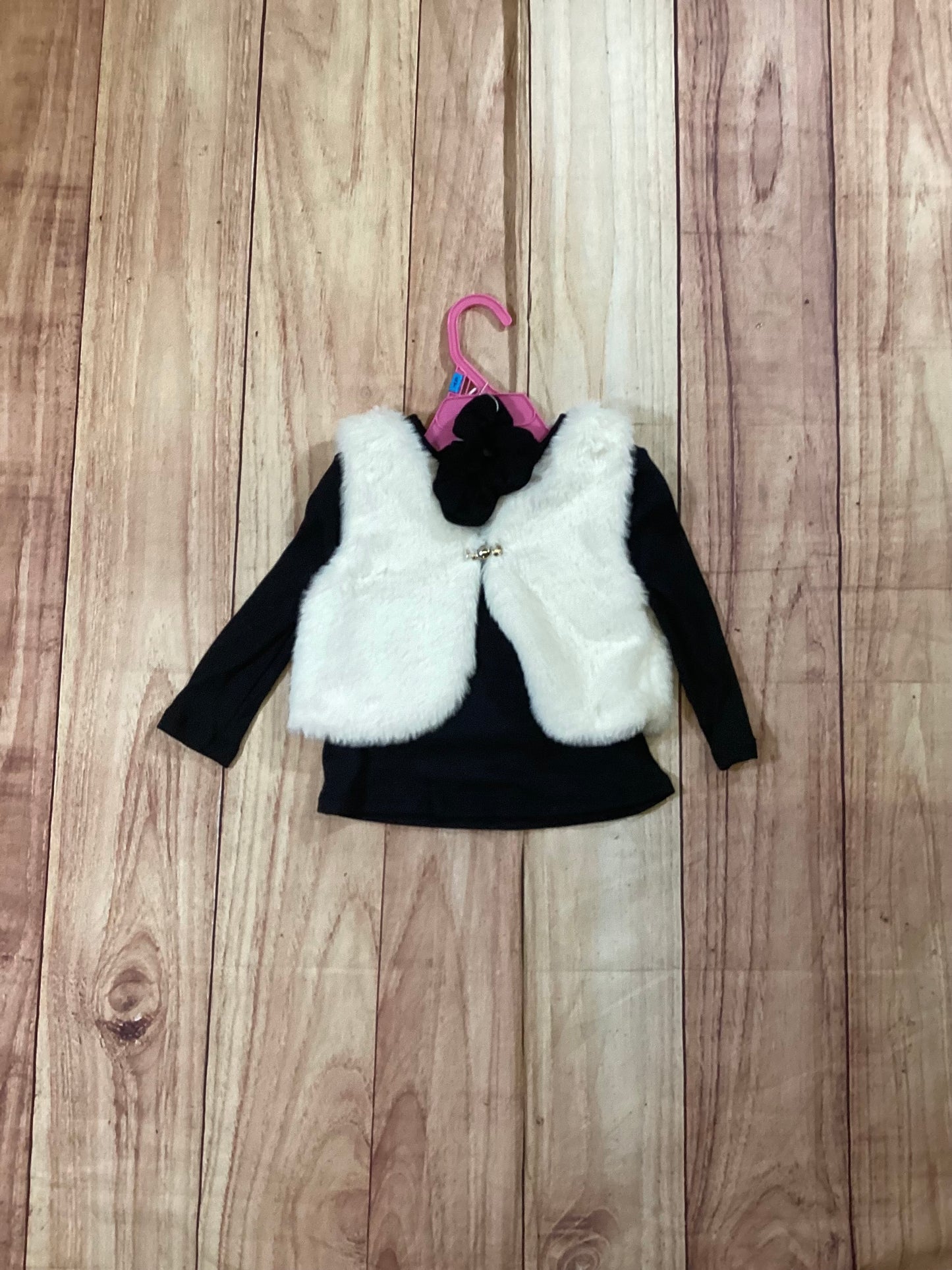 2pc Fur Vest Set