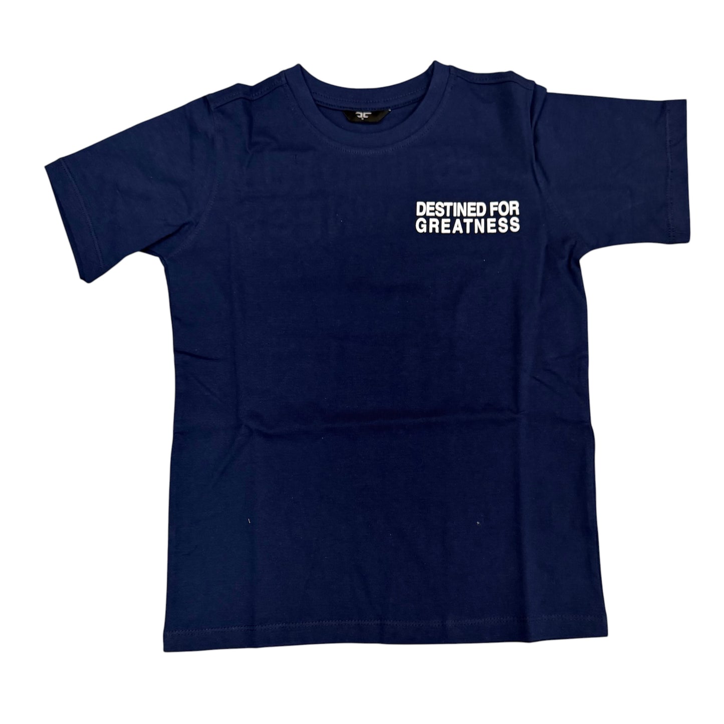 Destined for greatness T-shirt