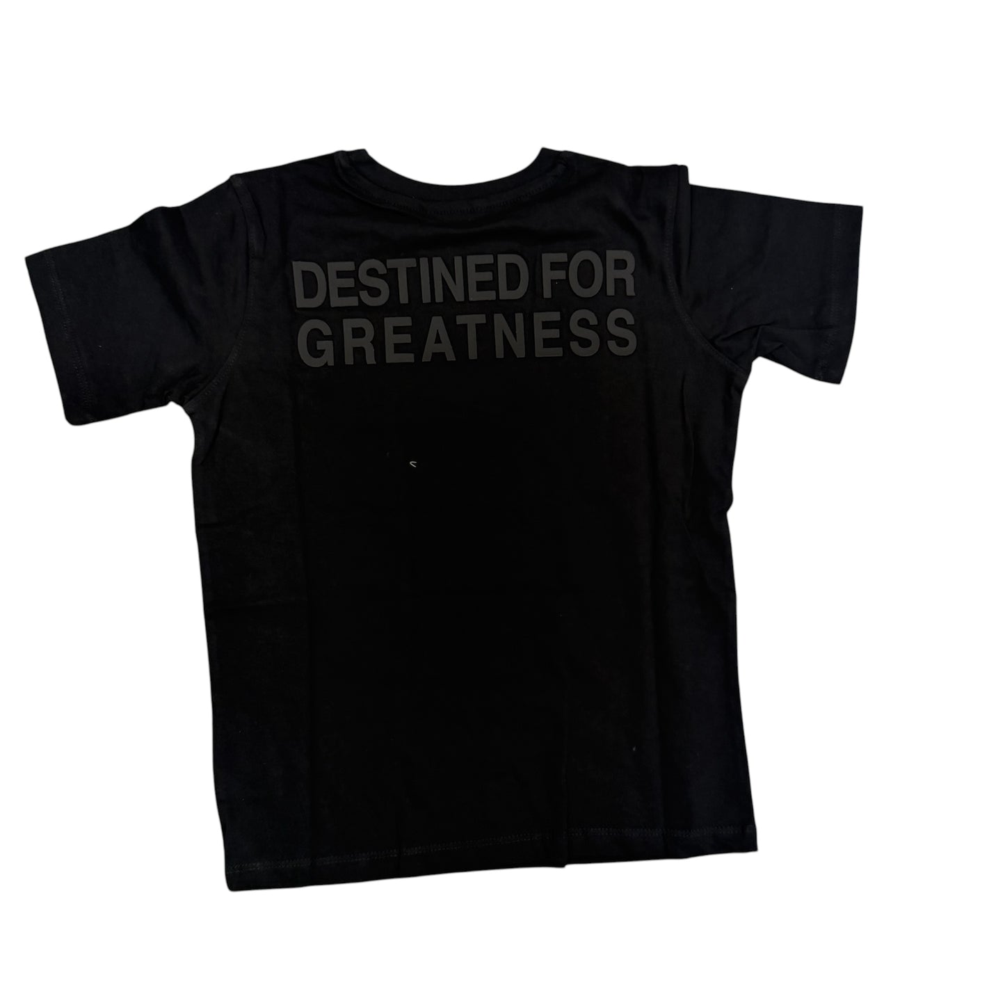Destined for greatness T-shirt