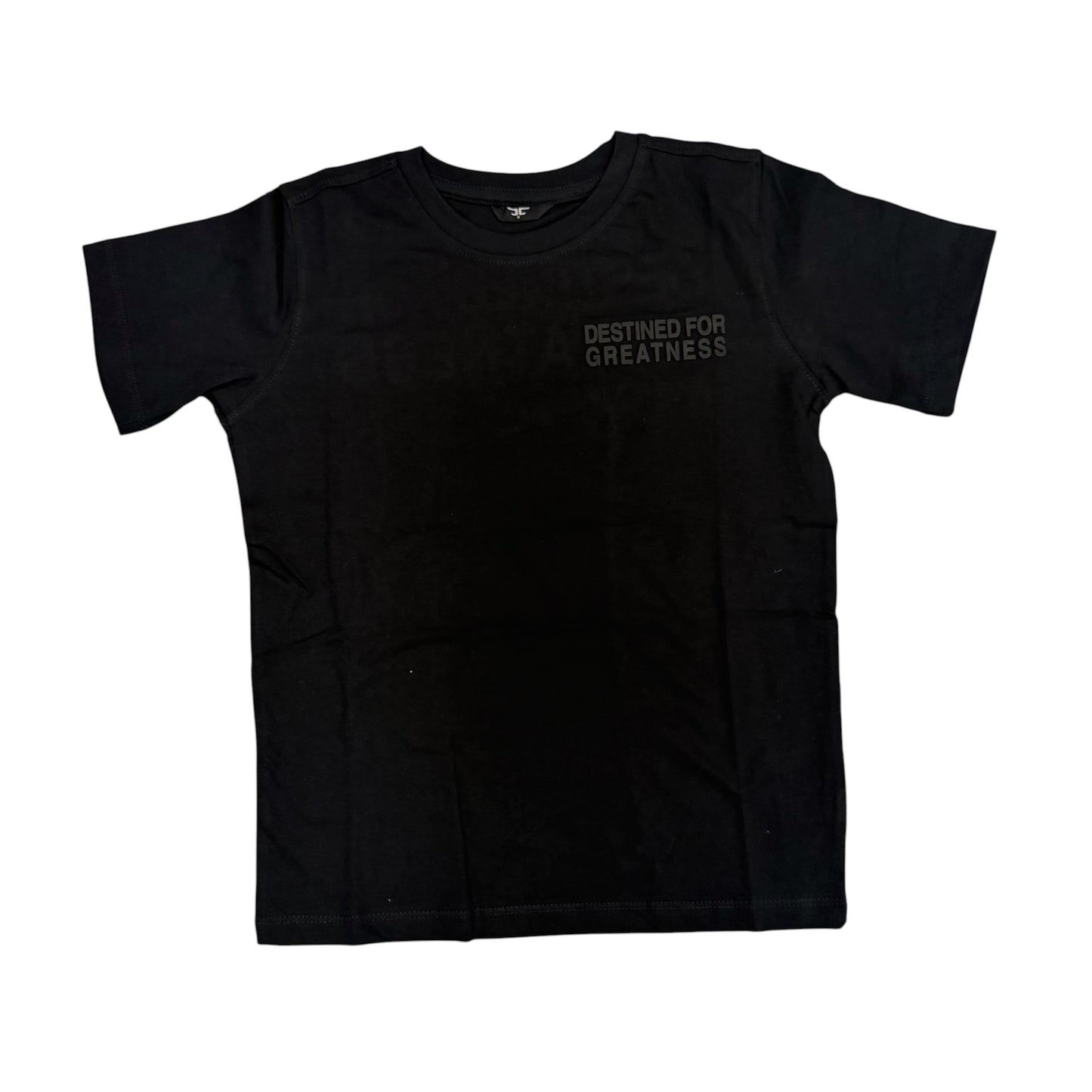 Destined for greatness T-shirt
