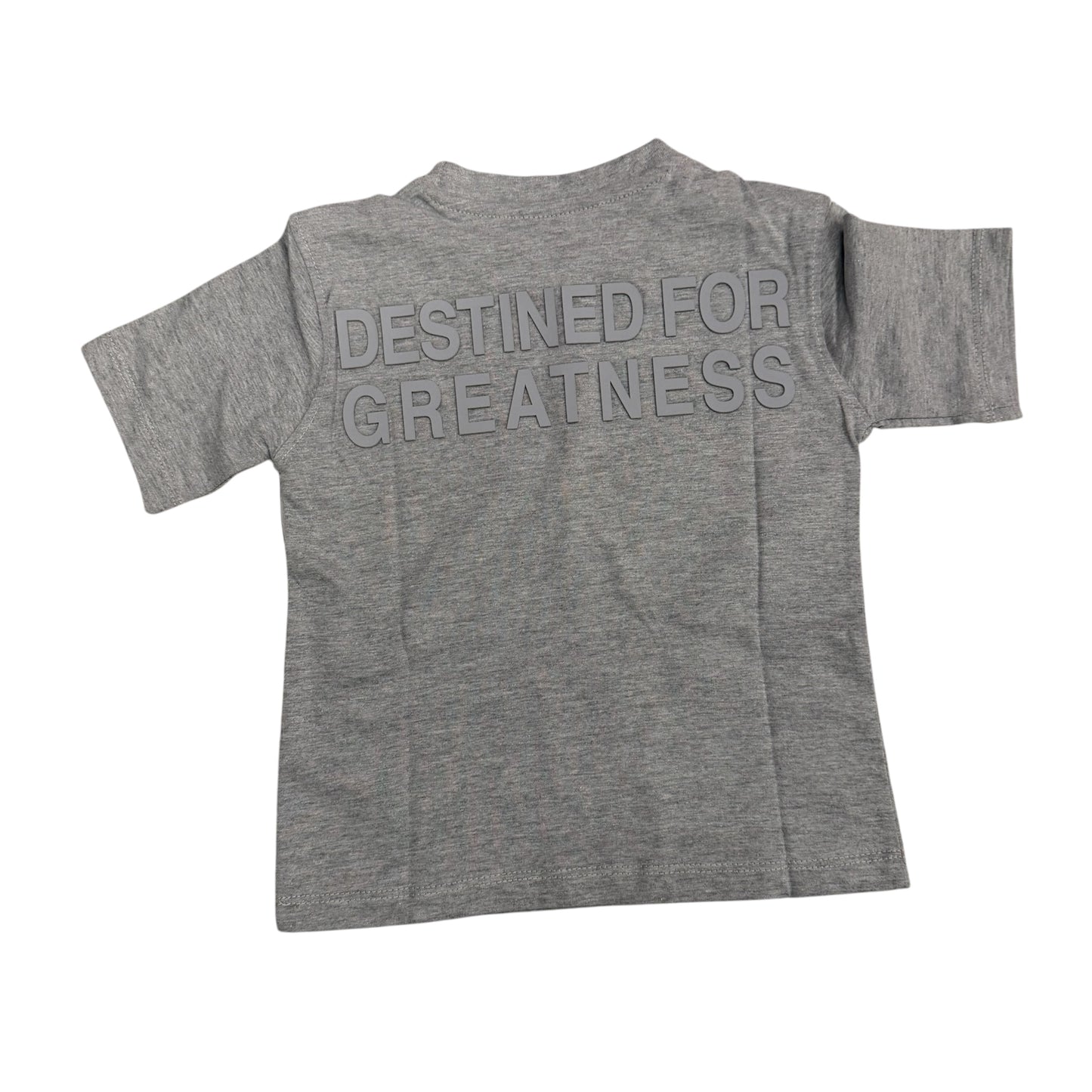 Destined for greatness grey t-shirt