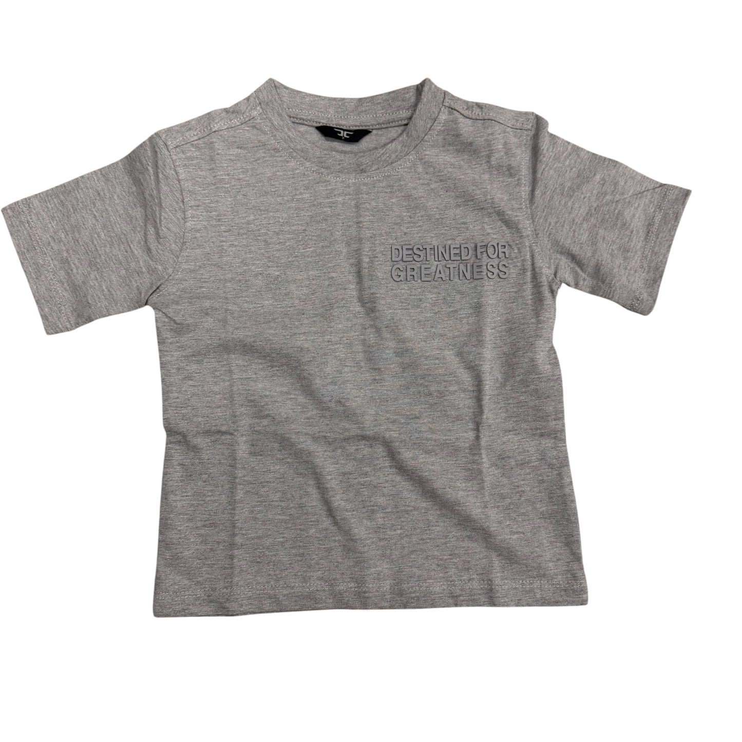 Destined for greatness grey t-shirt