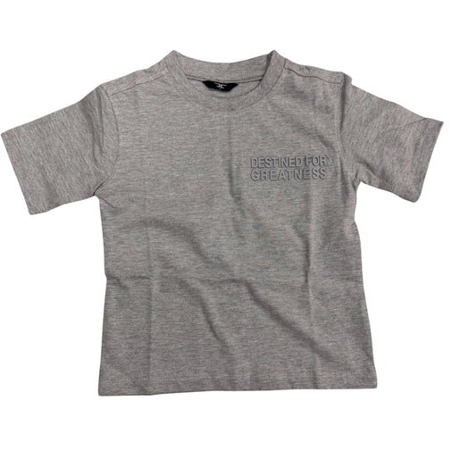 Destined for greatness grey t-shirt